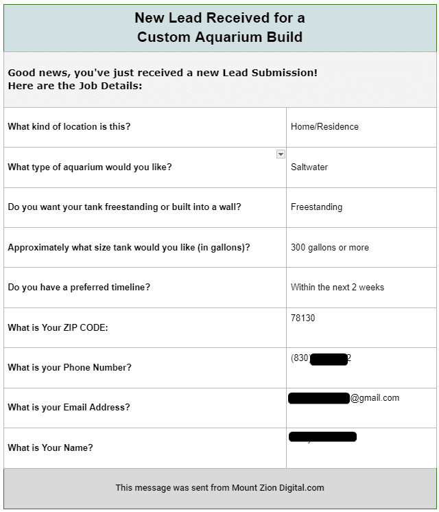 Screen shot depicting an example of a lead submission